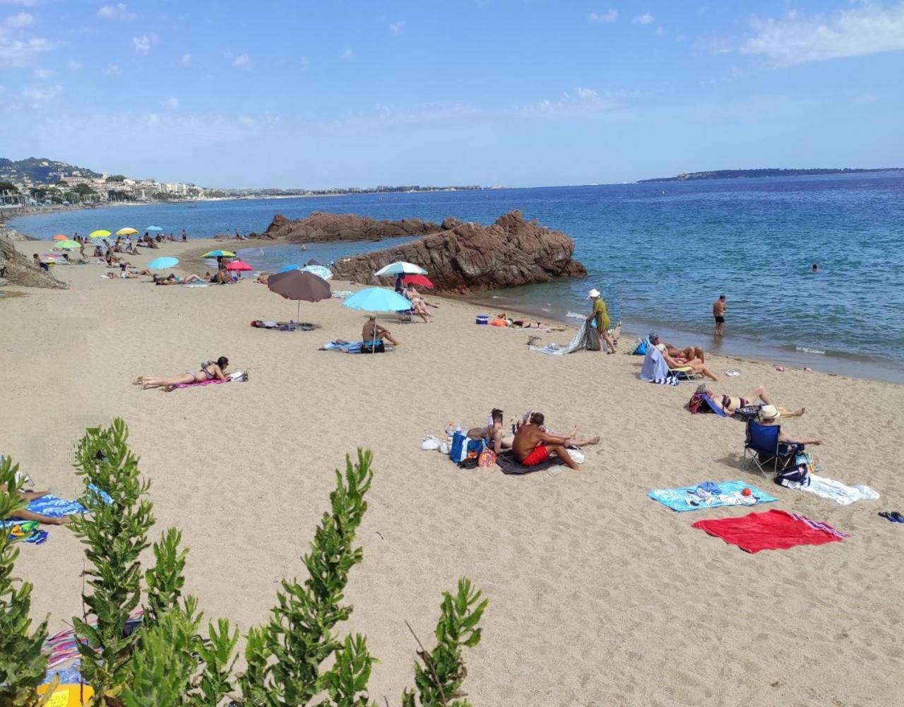 Agreable Chambre D'Hote A 50M De La Mer Cannes Exteriör bild